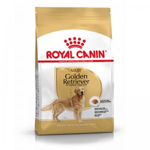 Royal Canin Seca Golden Retriever Adulto
